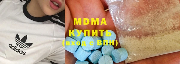 молекула духа Вяземский