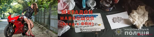 прущие грибы Волосово
