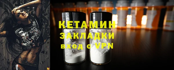 молекула духа Вяземский