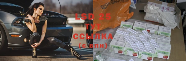 прущие грибы Волосово