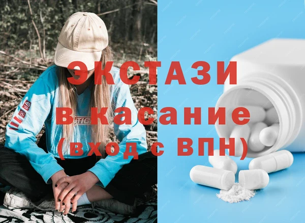 молекула духа Вяземский