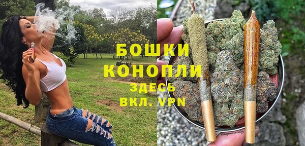 твердый Волоколамск