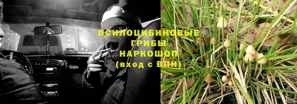 молекула духа Вяземский