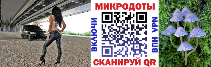 наркошоп Дедовск Галлюциногенные грибы Psilocybine cubensis